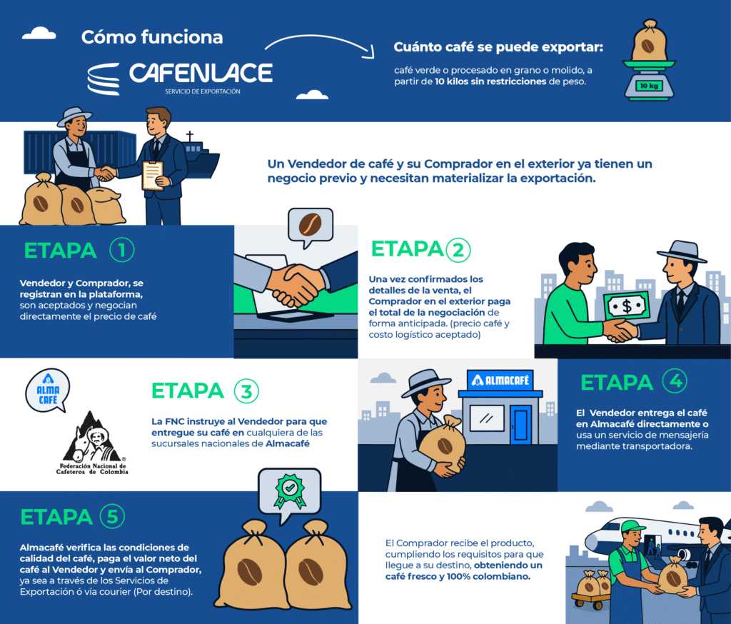 infografía como funciona café enlace